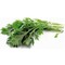 Mizuna manat -Brassica japonica-