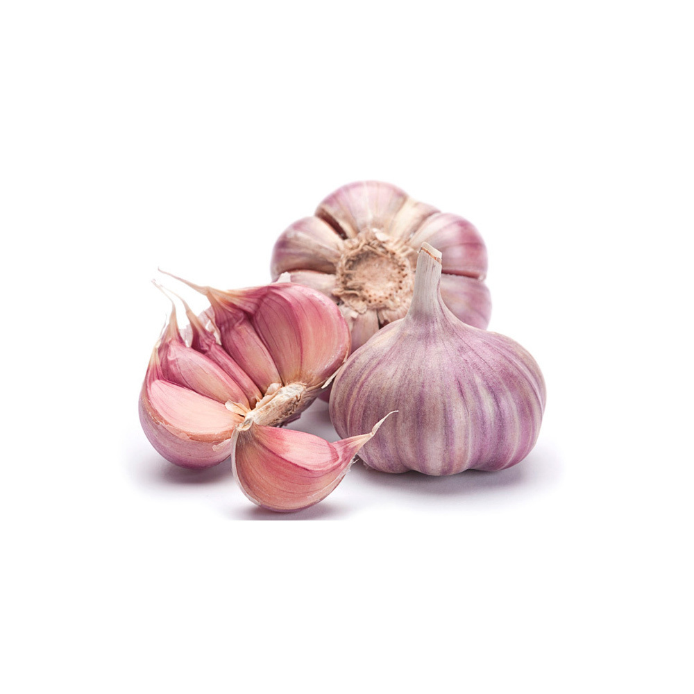 All sec violeta
