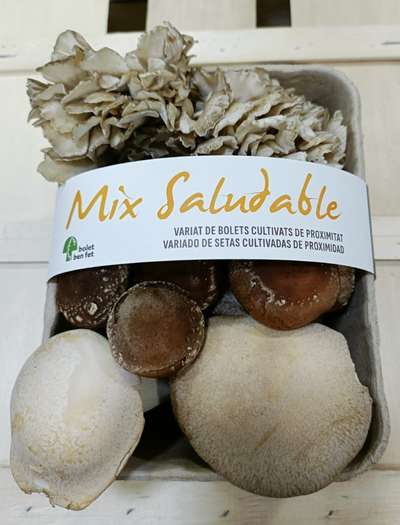 Variat de Bolets fresc